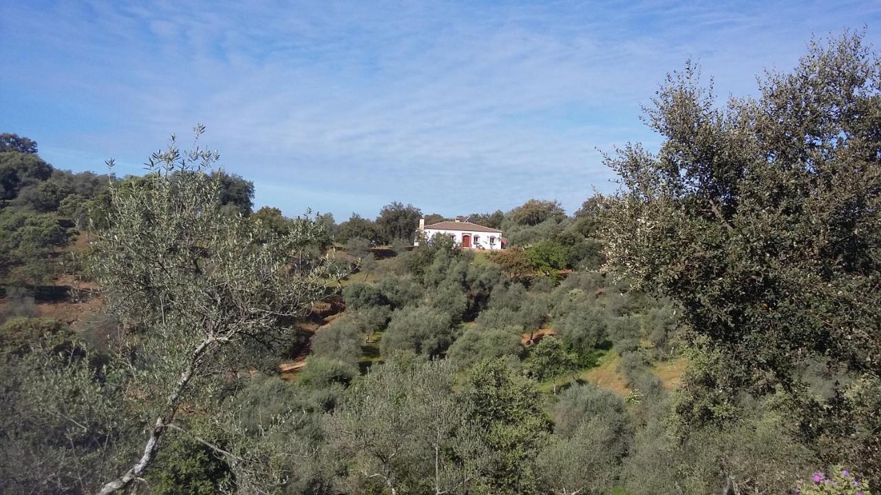 Cortijo Rural Flor De Cazalla Cazalla de la Sierra Zewnętrze zdjęcie